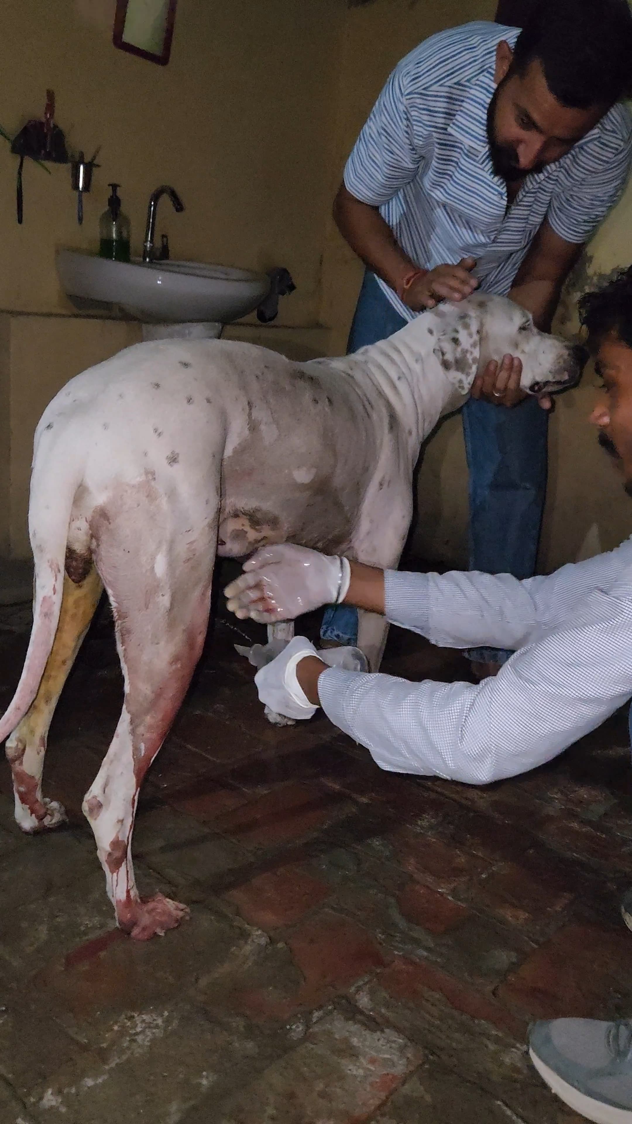 Medical Treatment